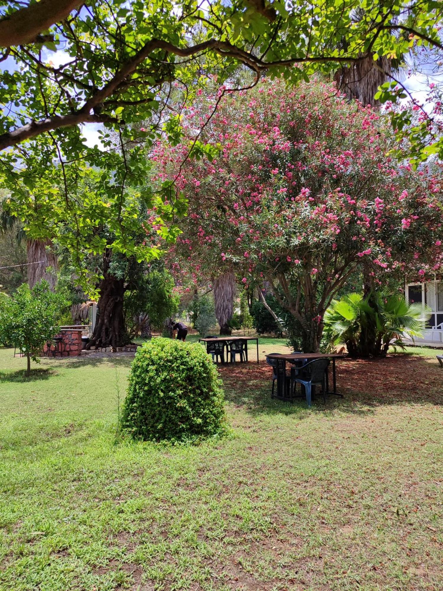 Kuecuek Ev Bed & Breakfast Kumluca ภายนอก รูปภาพ